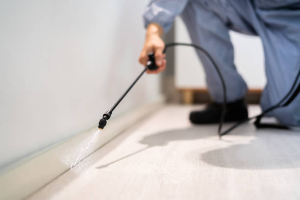 Licensed Cockroach Control service in Chetopa, KS - Nex Pest Control